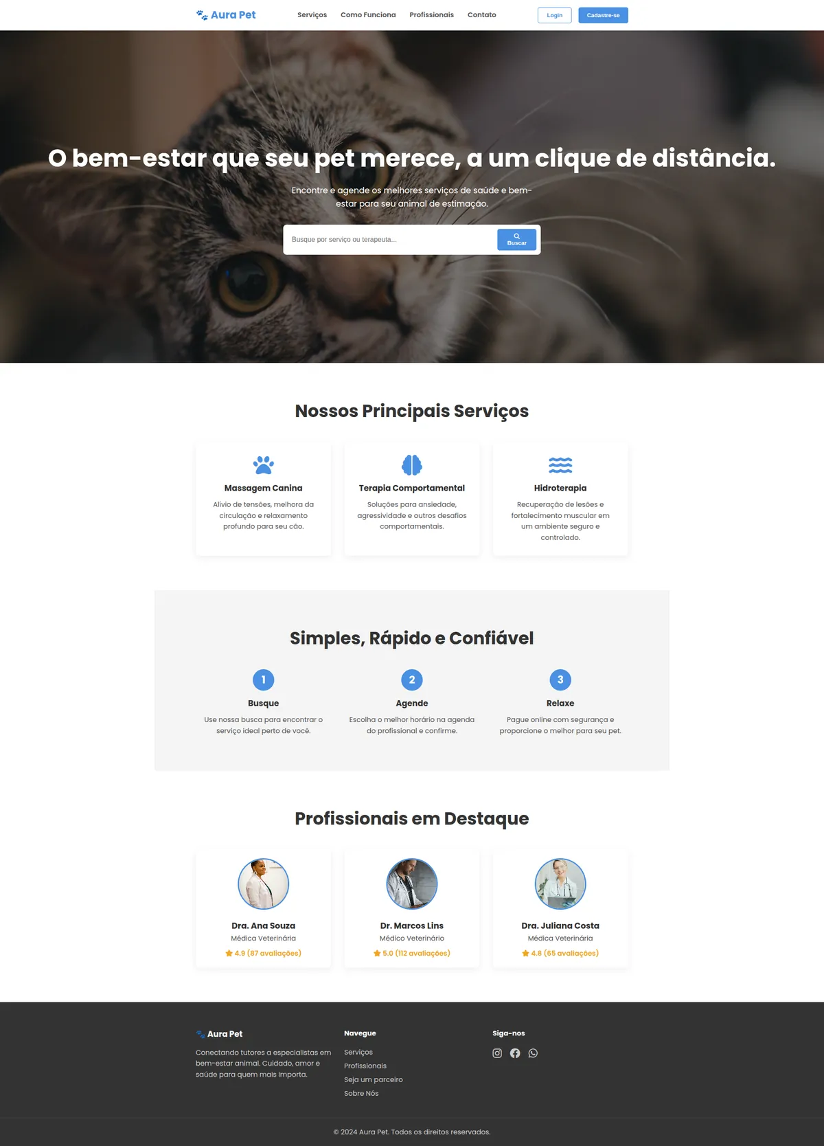 AuraPet, projeto de site institucional